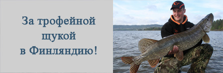 За трофейной щукой в Финляндию