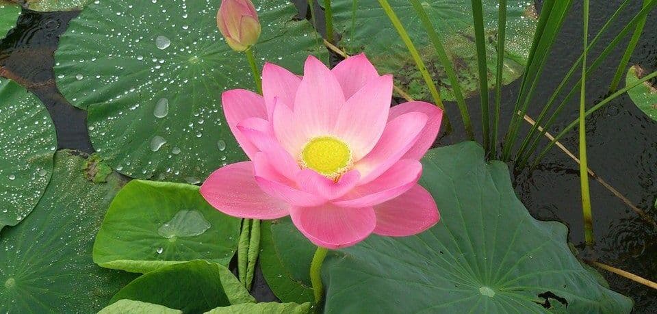 Фото 6