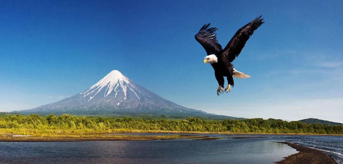 Камчатка 4