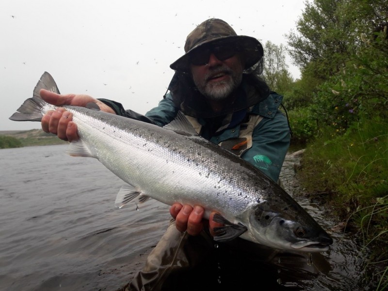 Рыбалка на реках Кольского полуострова - все о ловле и прогноз поклевок