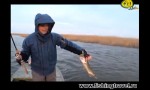 Рыболов - эксперт. Ловля щуки зимой на спиннинг.