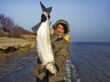 Рыболовный тур "Амурский хищник"